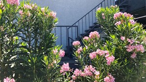 Uma escadaria com corrimão de metal que leva a um edifício com parede texturizada.