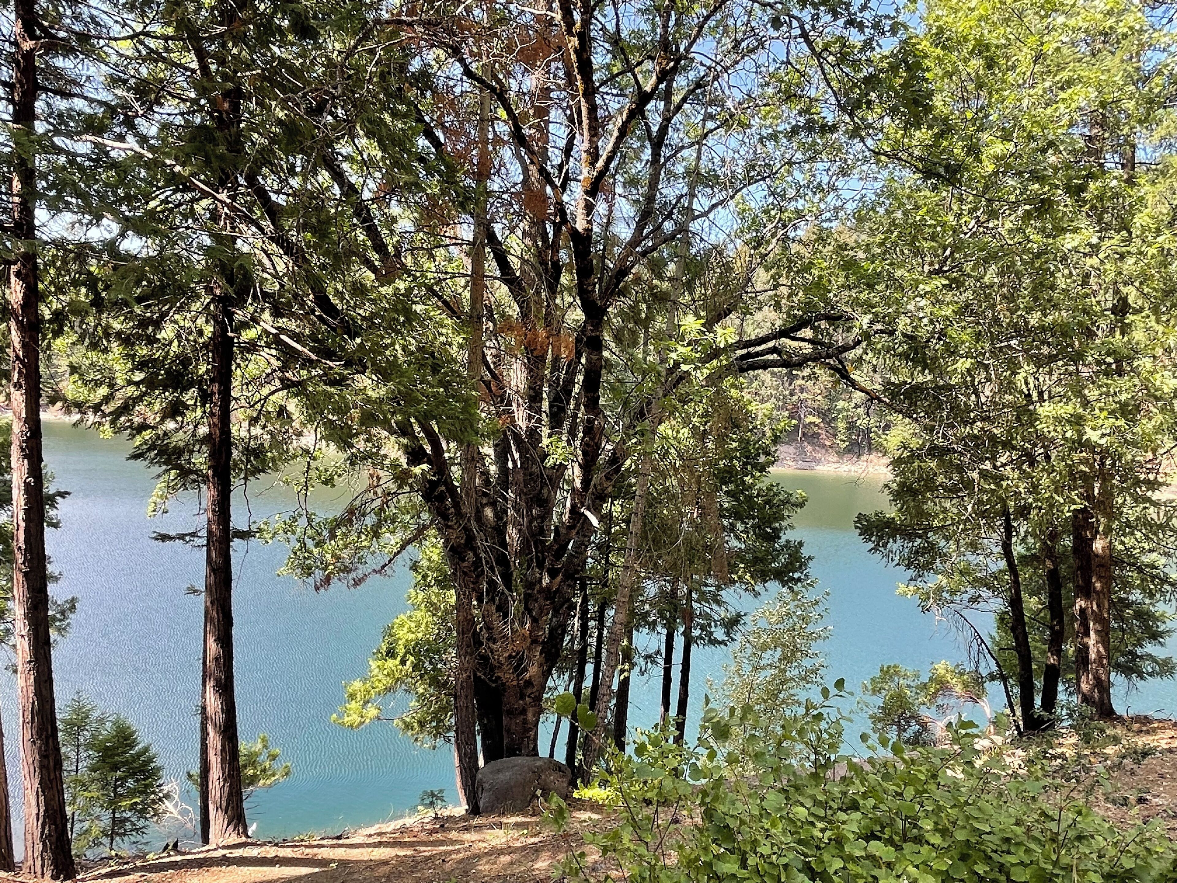 deluxe room, multiple beds, lake view, lakeside | lake view