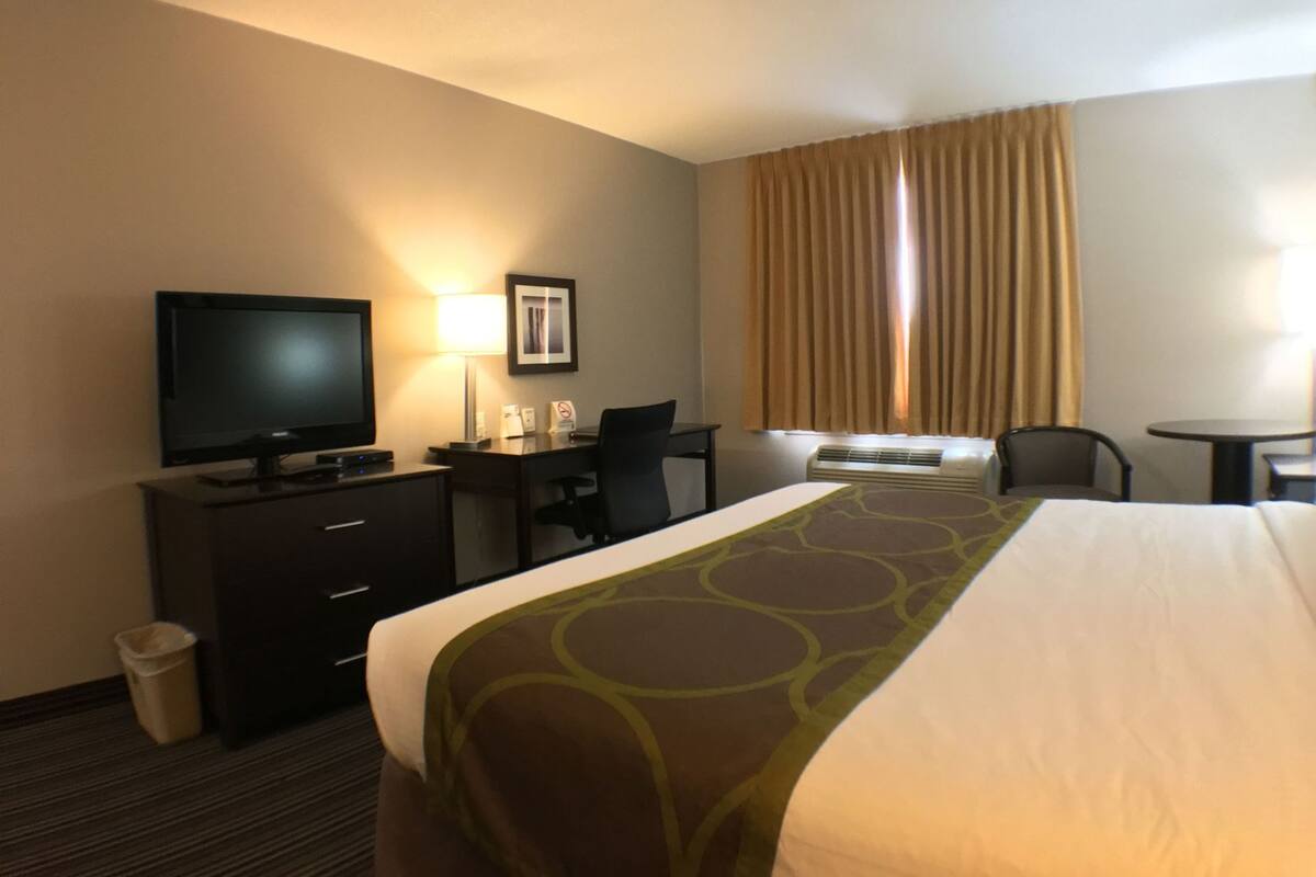 Quarto de hotel com cama, escrivaninha, televisão, cadeira, lixeira e janela com cortinas.