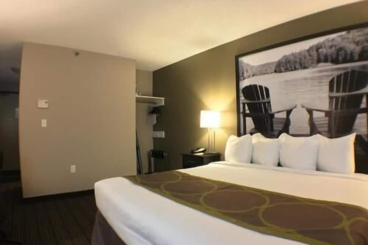 Pillowtop beds, desk, laptop workspace, blackout drapes