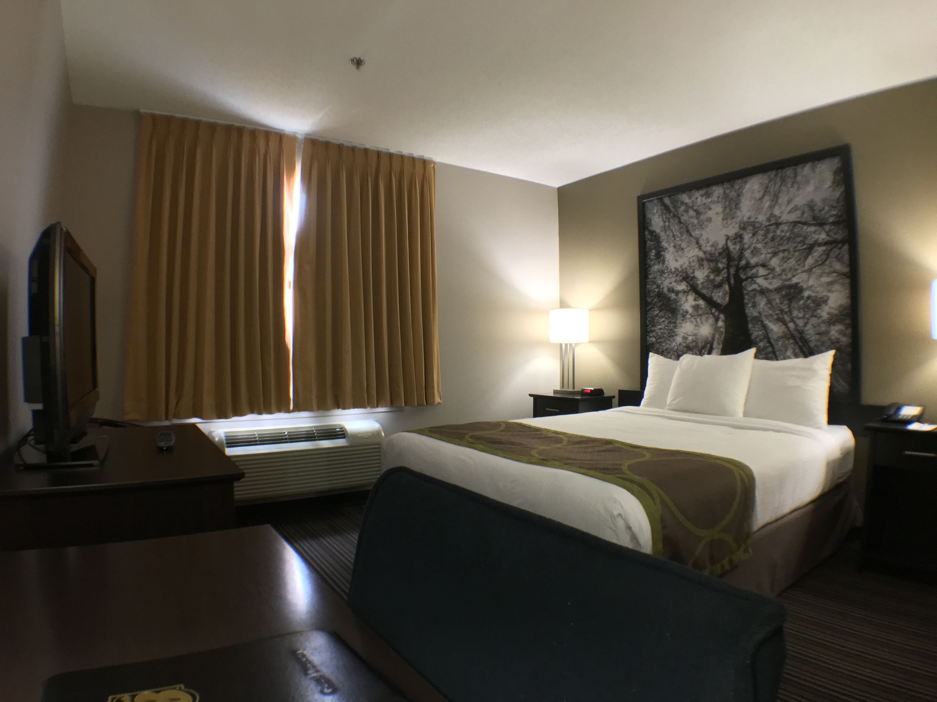 suite, 1 king bed with bunk beds | pillow-top beds, desk, laptop workspace, blackout curtains