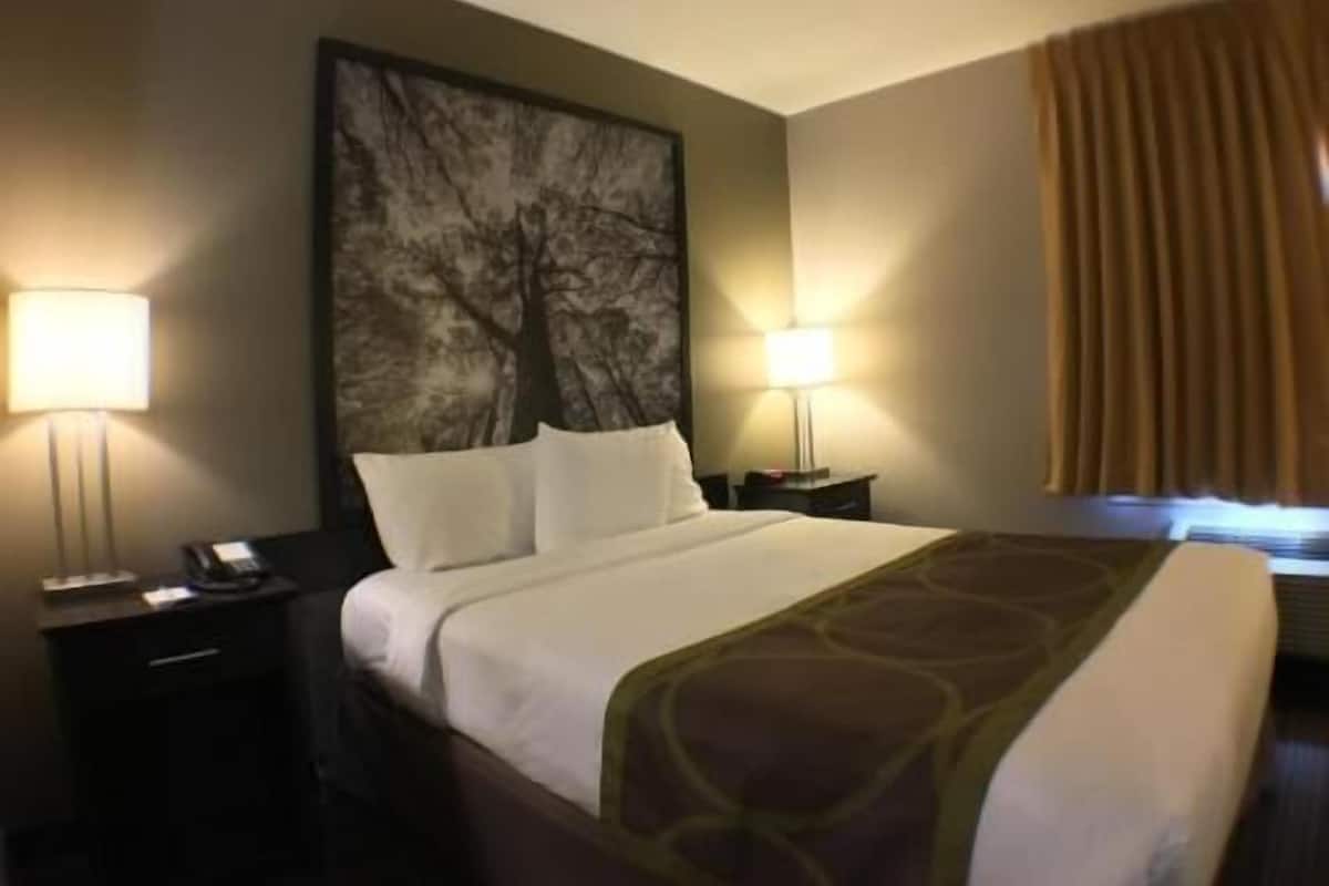 Pillowtop beds, desk, laptop workspace, blackout drapes