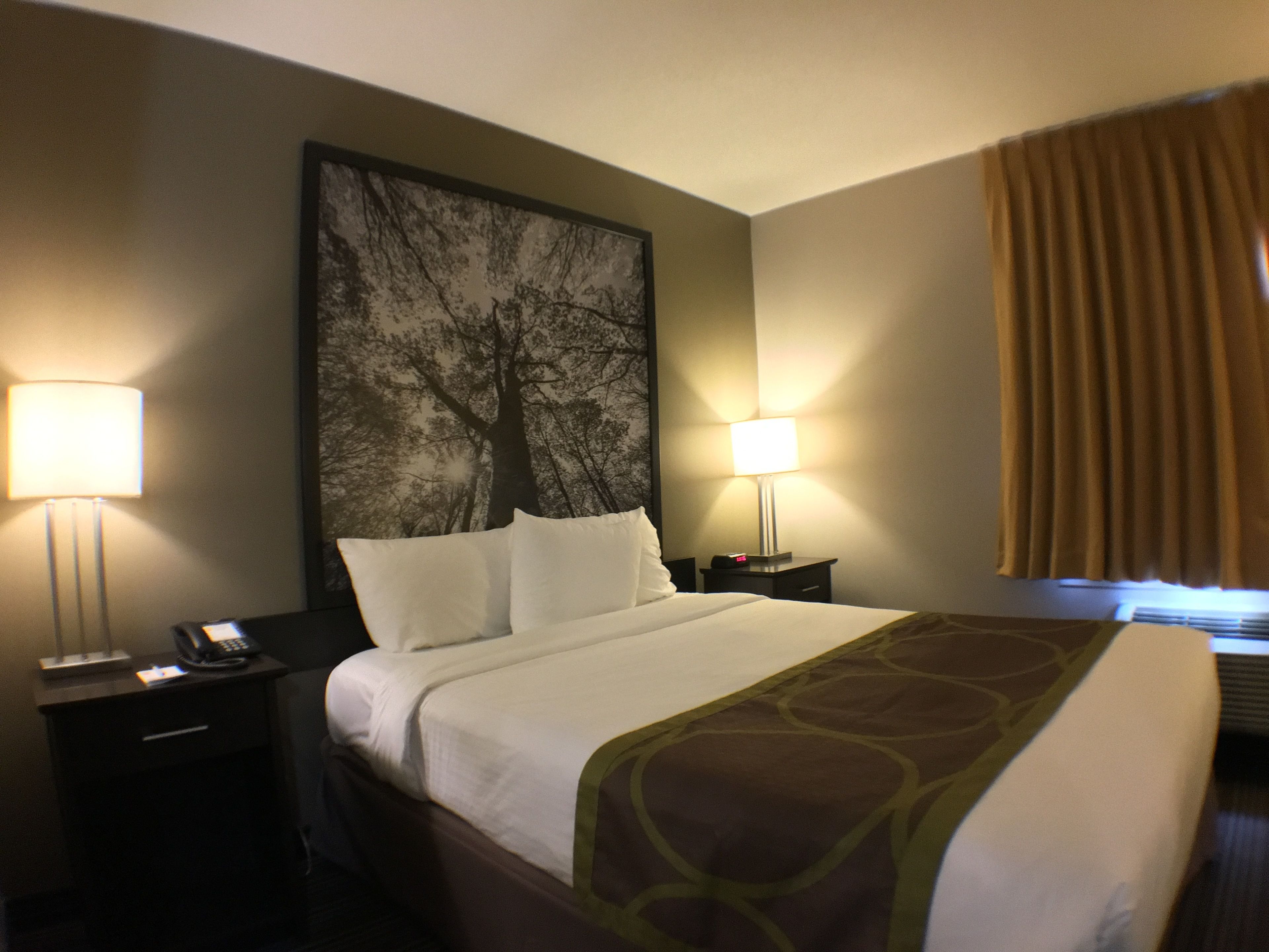 A hotel room with a large bed, two bedside tables with lamps, a wall-mounted artwork of a tree, and a window with curtains.