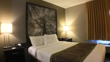 A hotel room with a large bed, two bedside tables with lamps, a wall-mounted artwork of a tree, and a window with curtains.