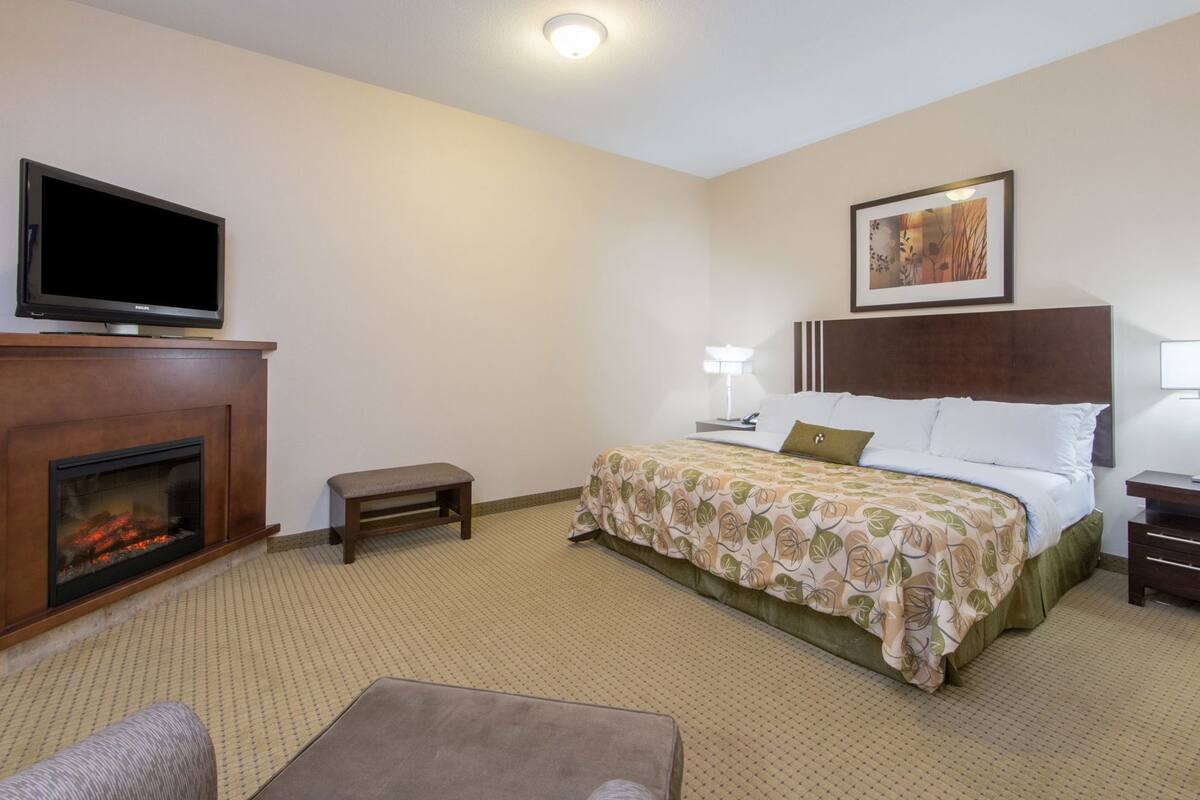 Une chambre d’hôtel comprenant un lit, une télévision, une cheminée, une table de chevet et une commode.