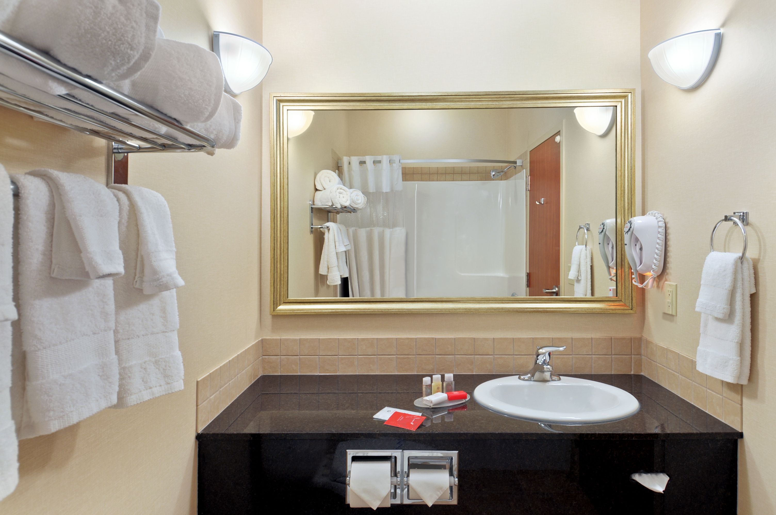 combined shower/bathtub, free toiletries, hair dryer, towels