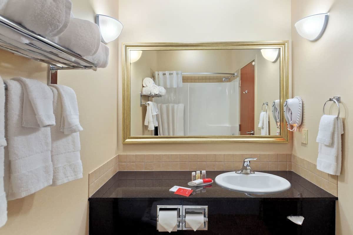 Bathroom | Combined shower/tub, free toiletries, hair dryer, towels