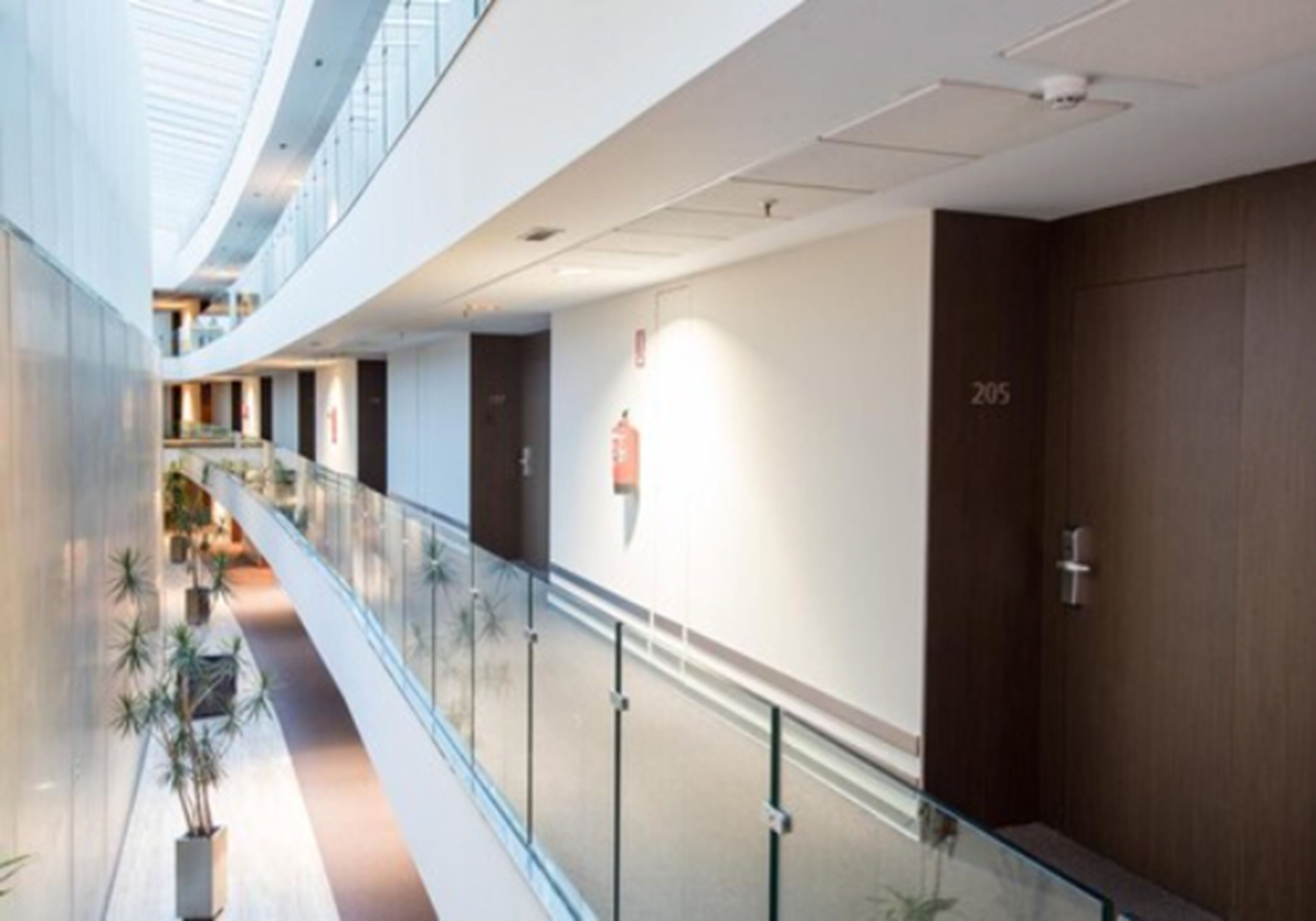 Een moderne hotelgang met glazen balustrades, een plafond met dakramen, en een houten deur met het nummer 205.