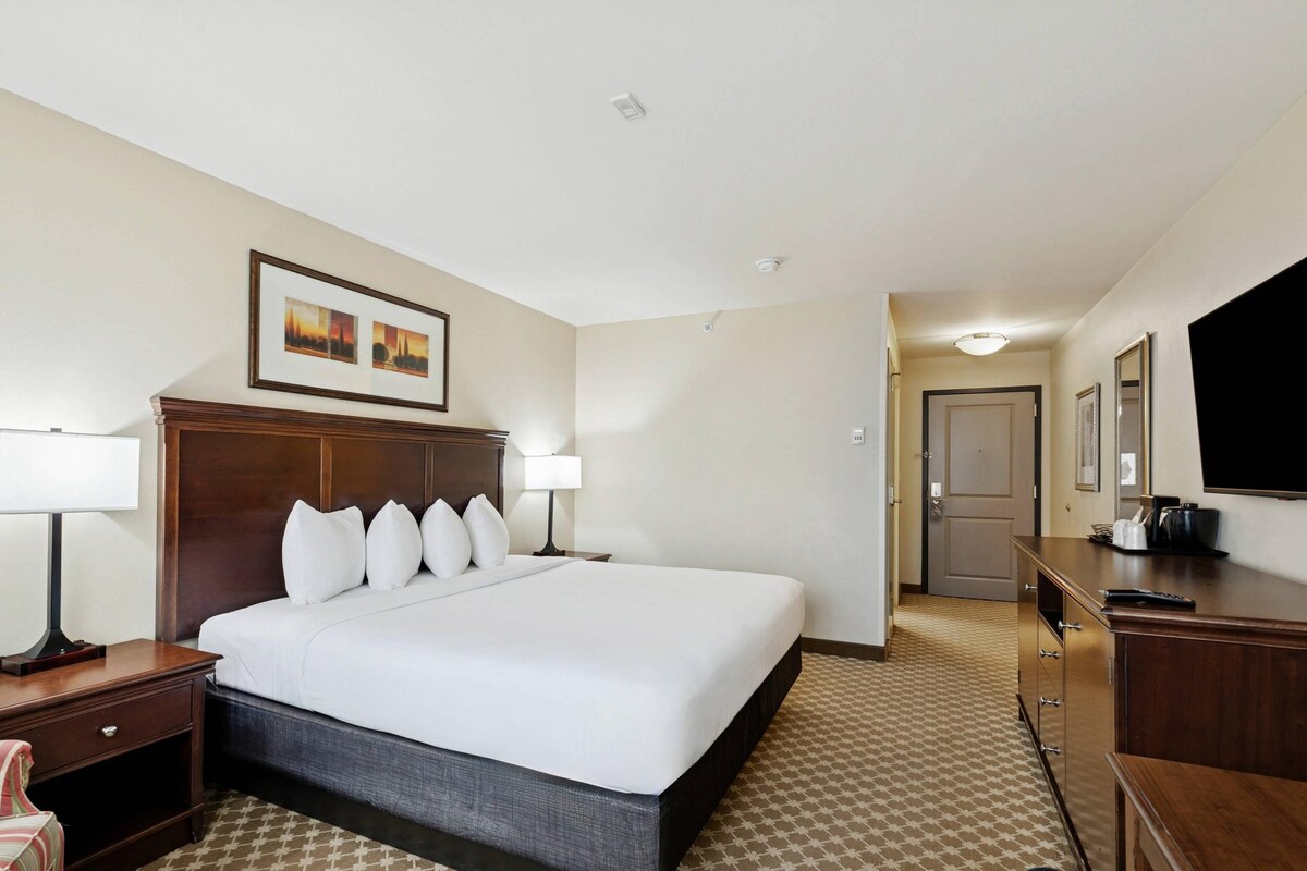 Room, 1 King Bed, Non Smoking | Hypo-allergenic bedding available, desk, blackout drapes