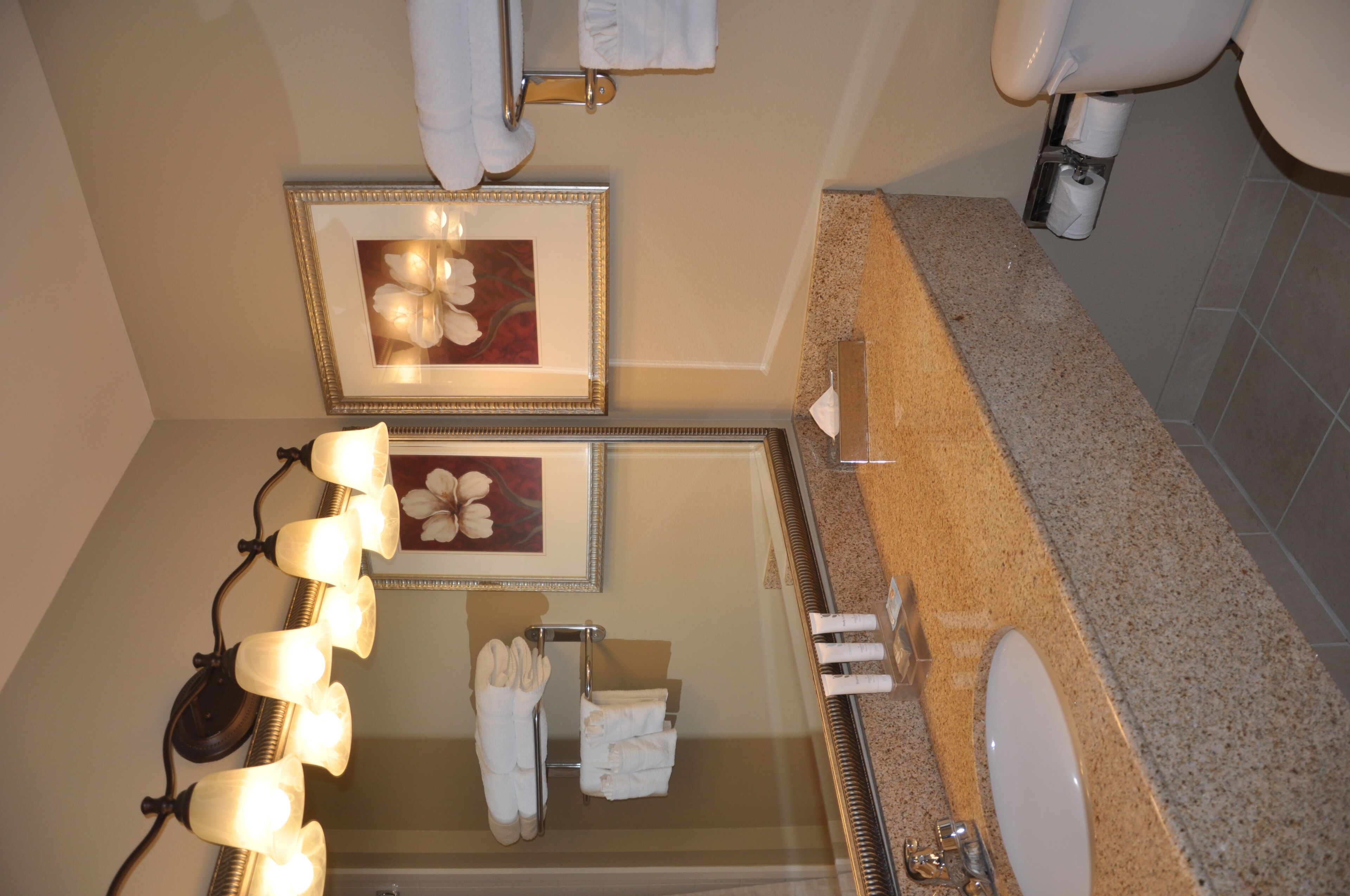 combined shower/bathtub, free toiletries, hair dryer, towels