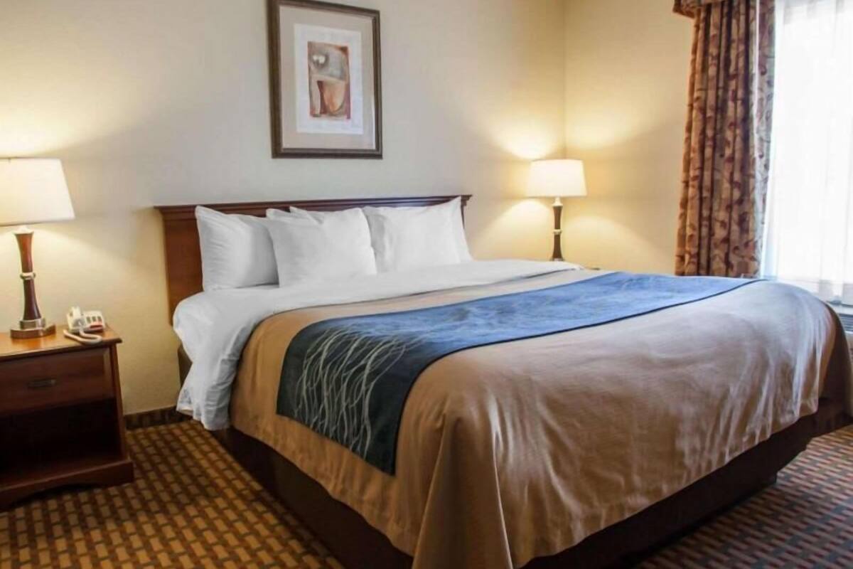 Blackout drapes, iron/ironing board, free cribs/infant beds