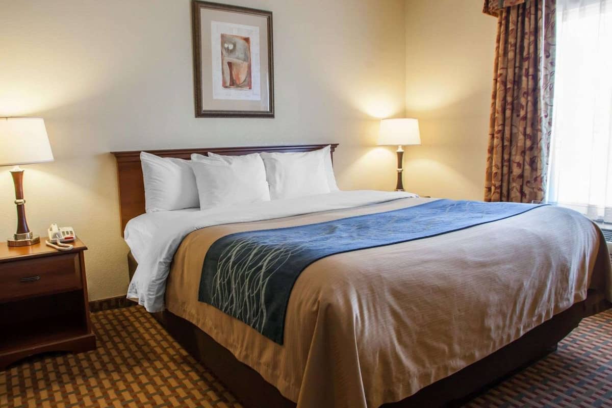 A hotel room with a large bed, two bedside tables with lamps, a framed artwork on the wall, and a patterned carpet.