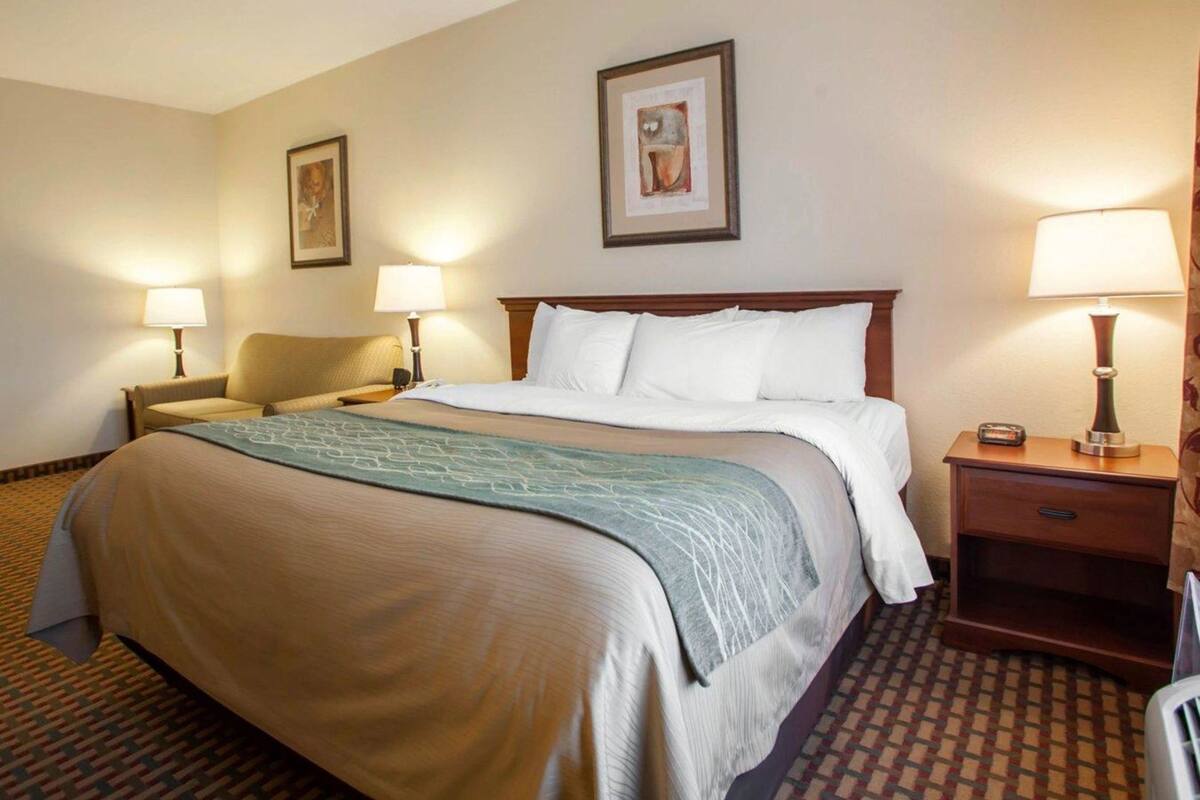 Blackout drapes, iron/ironing board, free cribs/infant beds