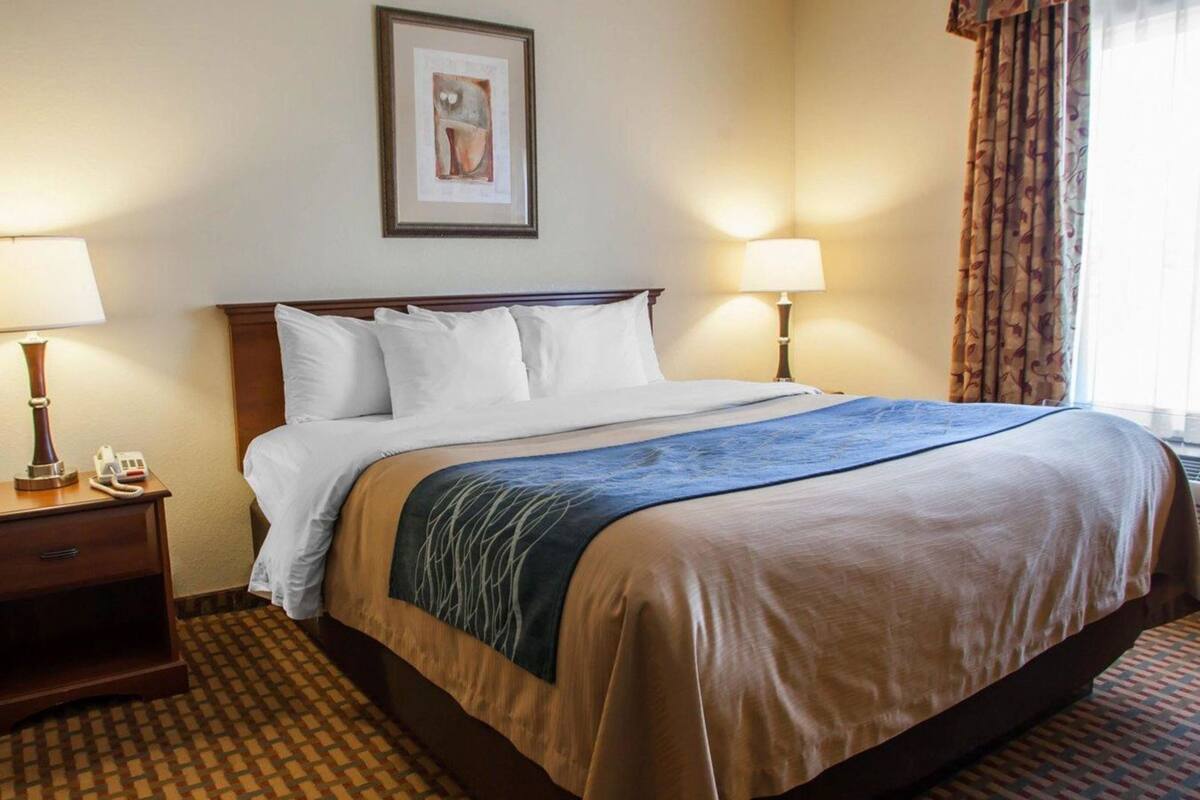 A hotel room with a large bed, two bedside tables with lamps, a framed picture on the wall, and patterned carpet.