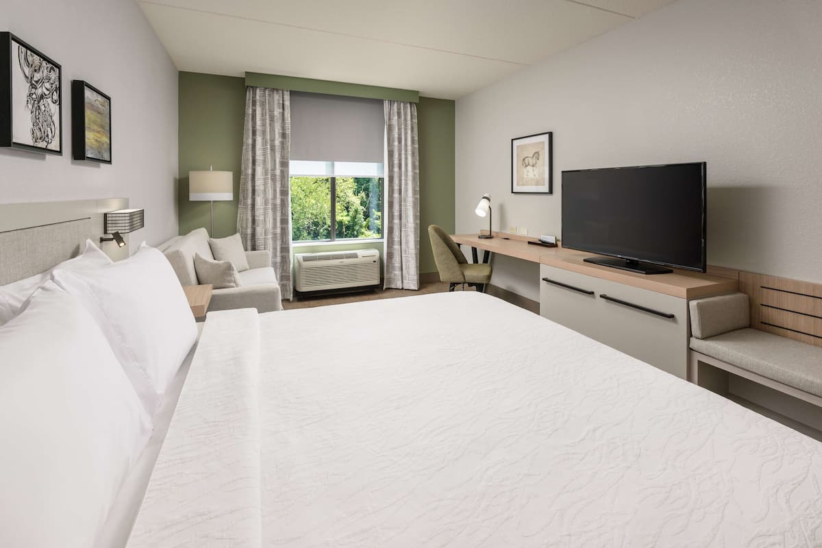 Room, 1 King Bed with Sofa bed, Non Smoking