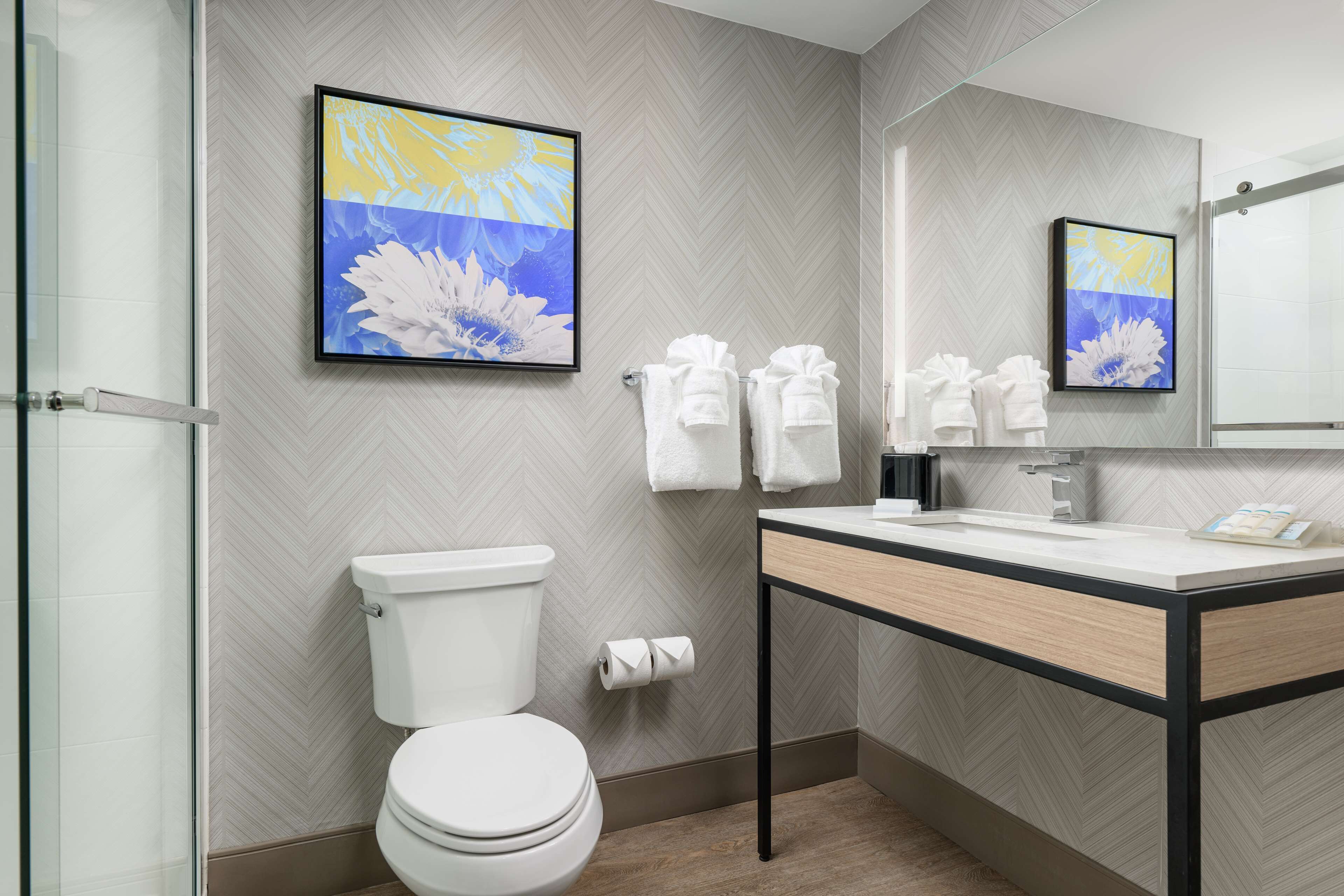 free toiletries, hair dryer, towels