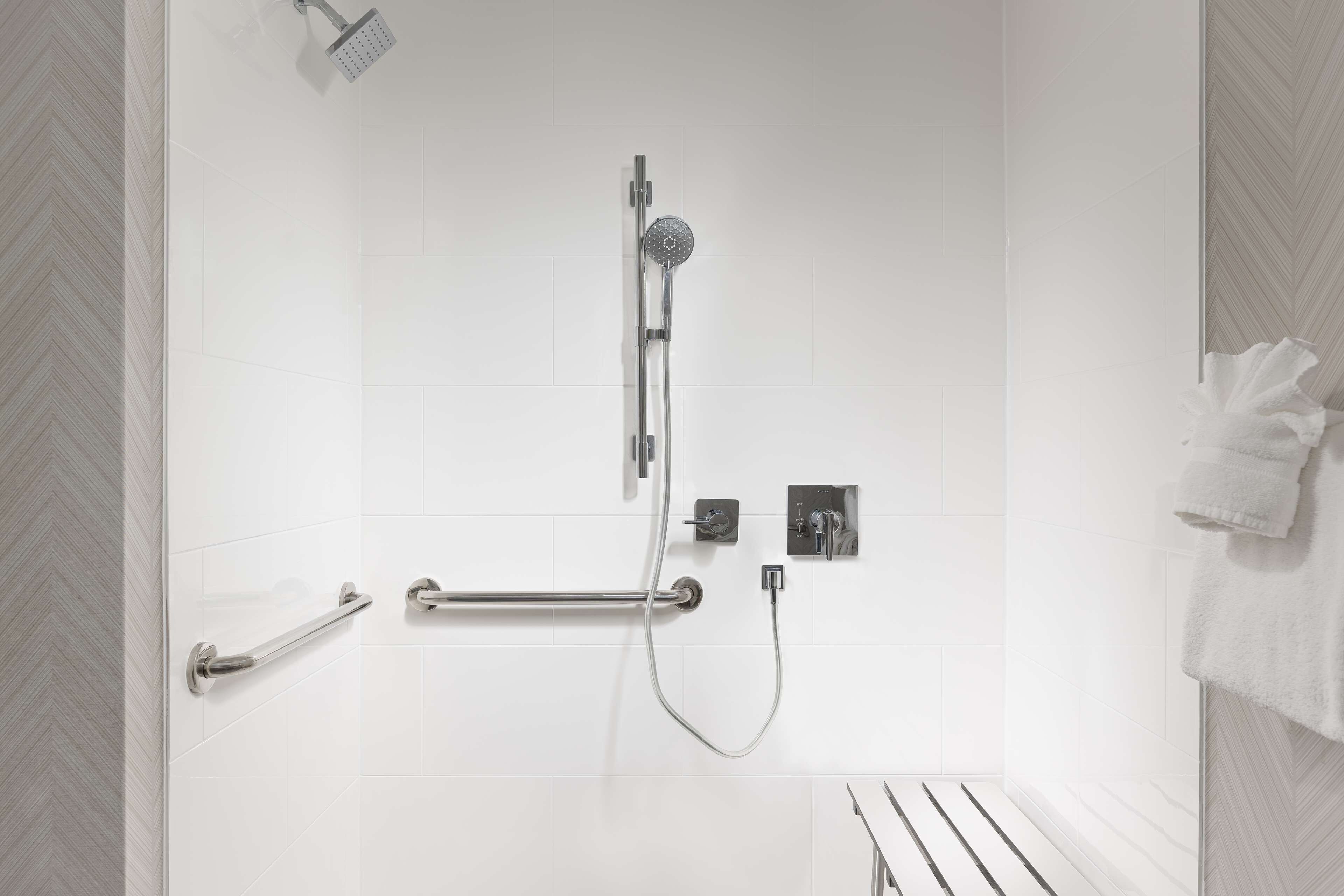 room, 1 king bed, accessible, non smoking (roll-in shower) | bathroom shower