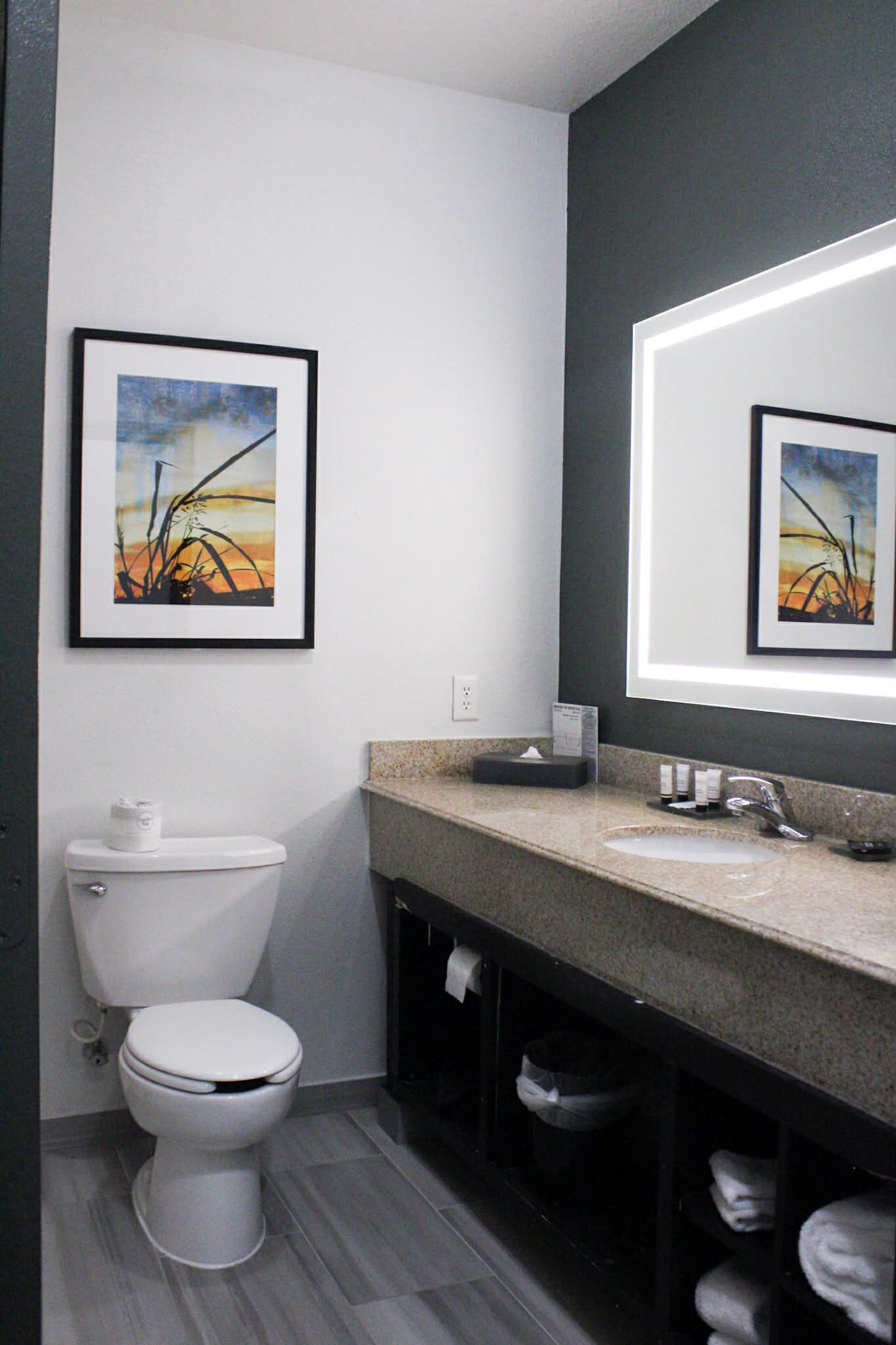 A modern bathroom with a toilet, sink, and towel rack.