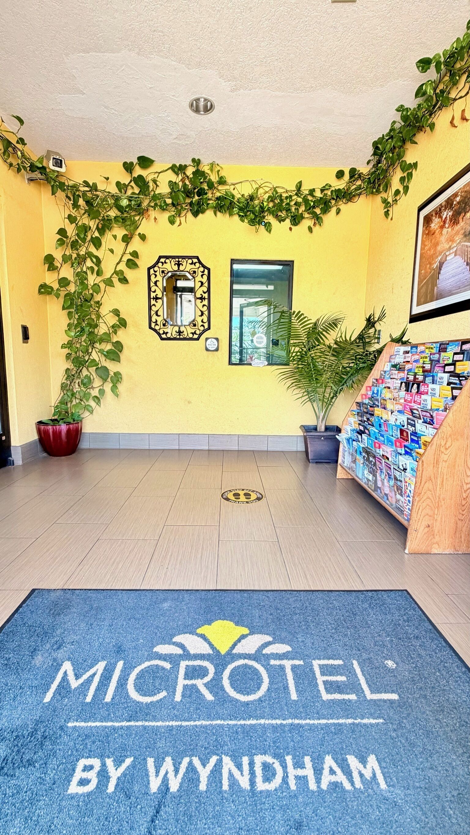 Un hall de hotel con alfombra azul, paredes amarillas y plantas verdes.