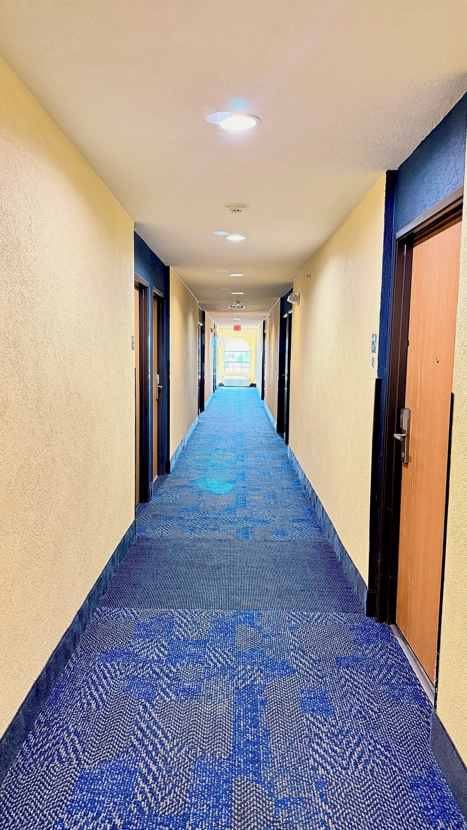 A hotel hallway with carpeted floors, doors on both sides, and a ceiling with recessed lighting.