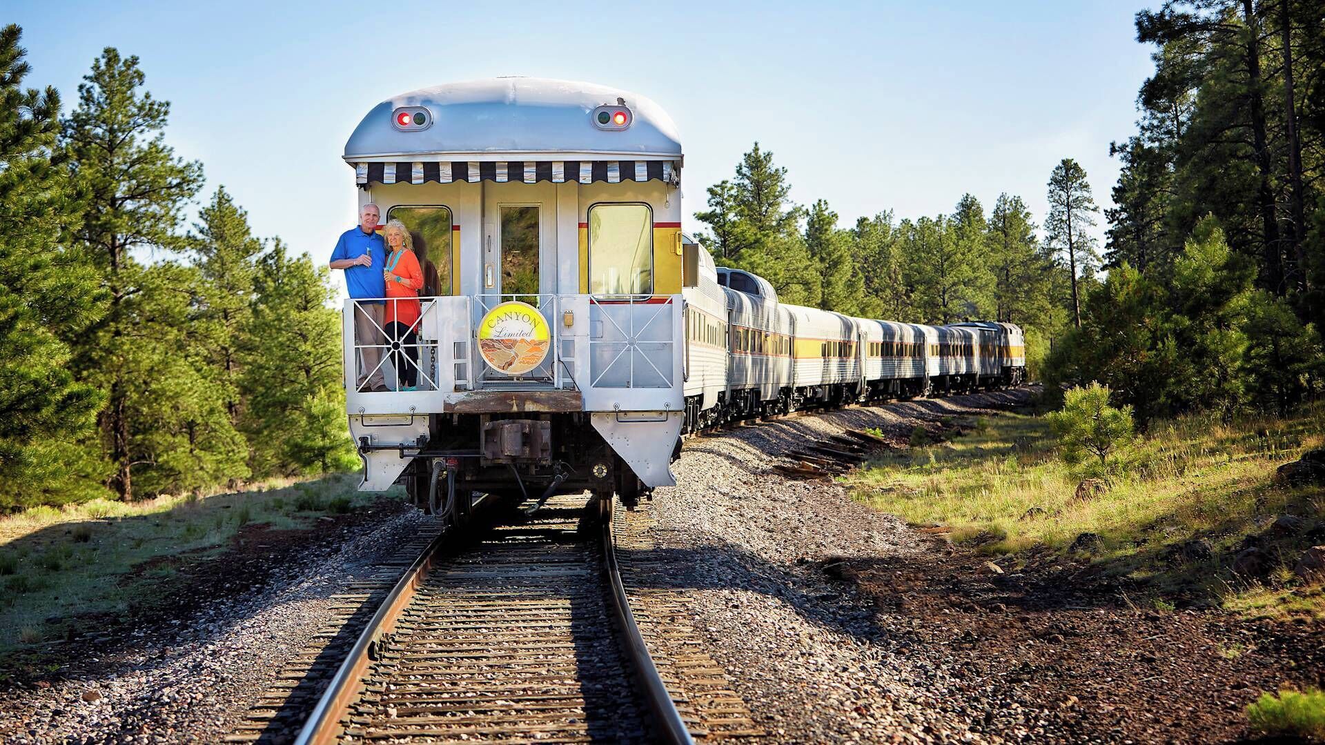 A train with a caboose and a caboose passenger area.