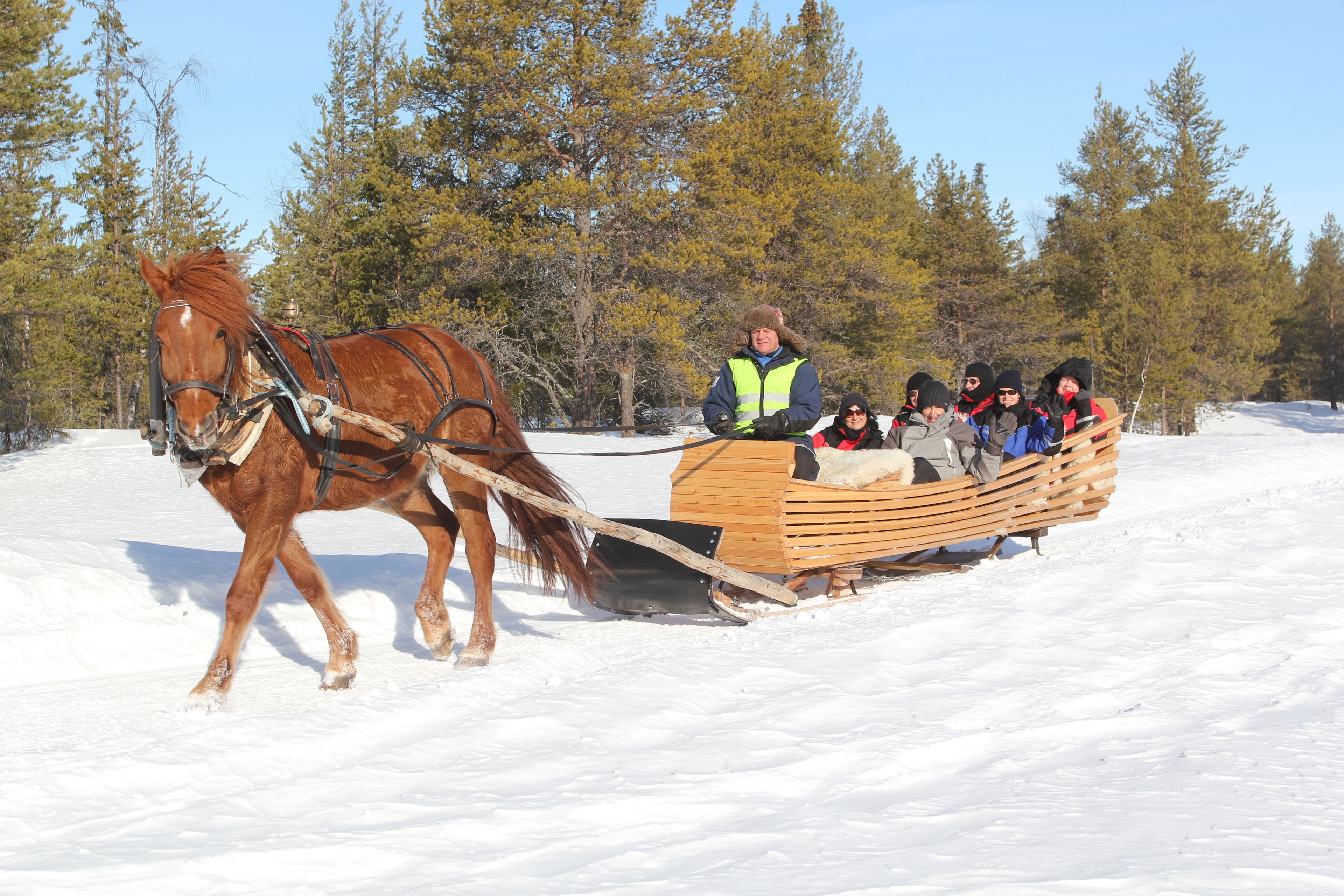 A horse-drawn sleigh with passengers in a snowy forest.