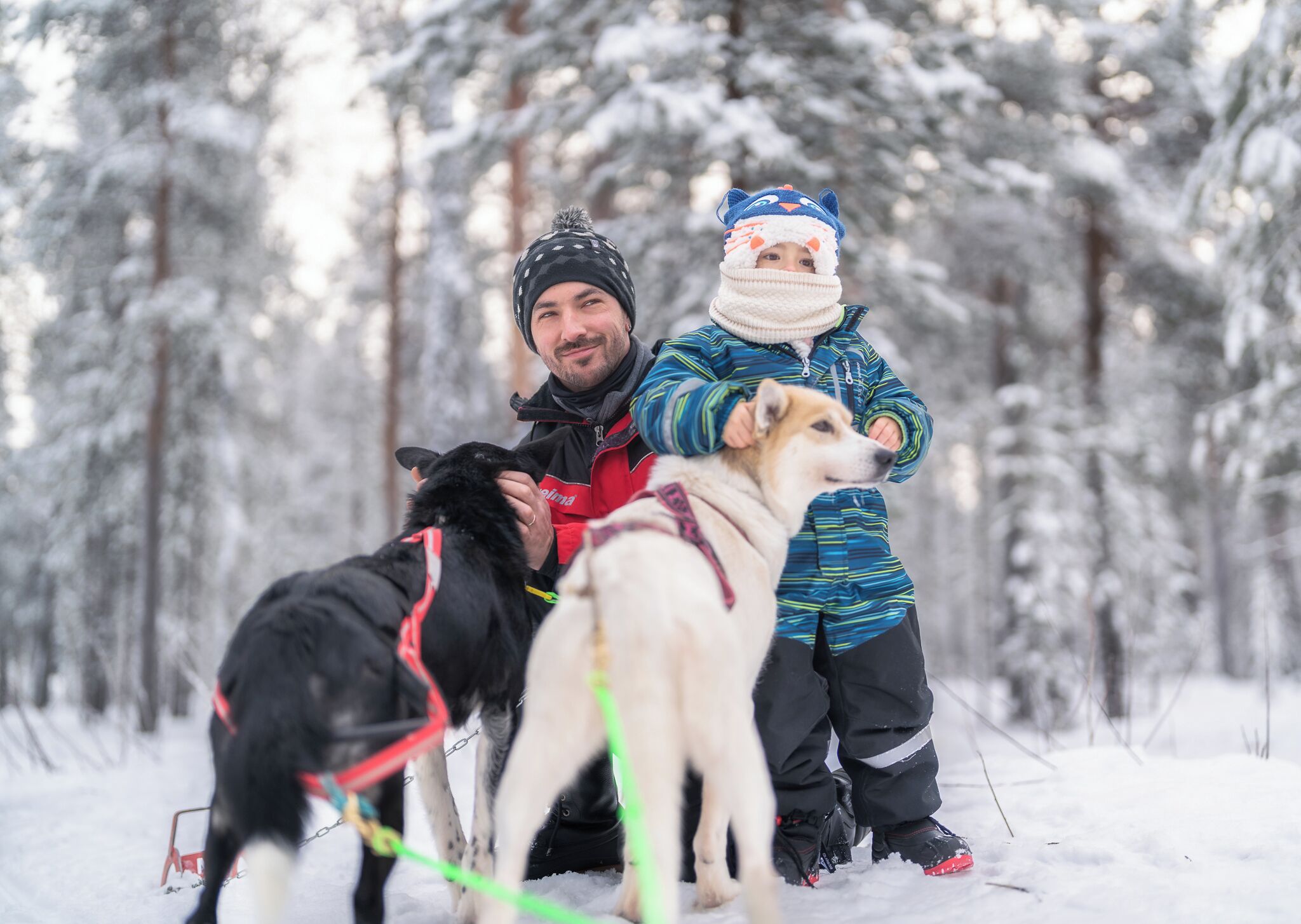 Een besneeuwd bos met een persoon en twee honden.
