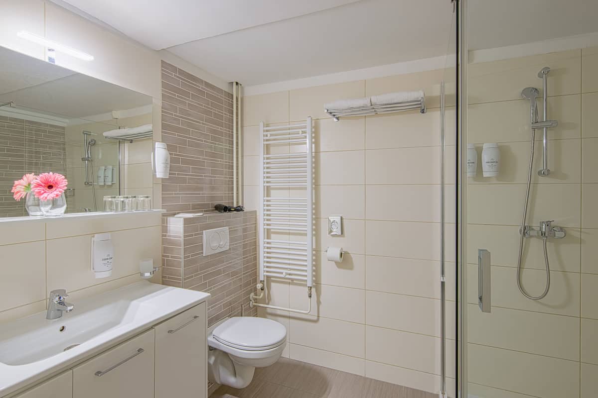 shower, free toiletries, hair dryer, towels