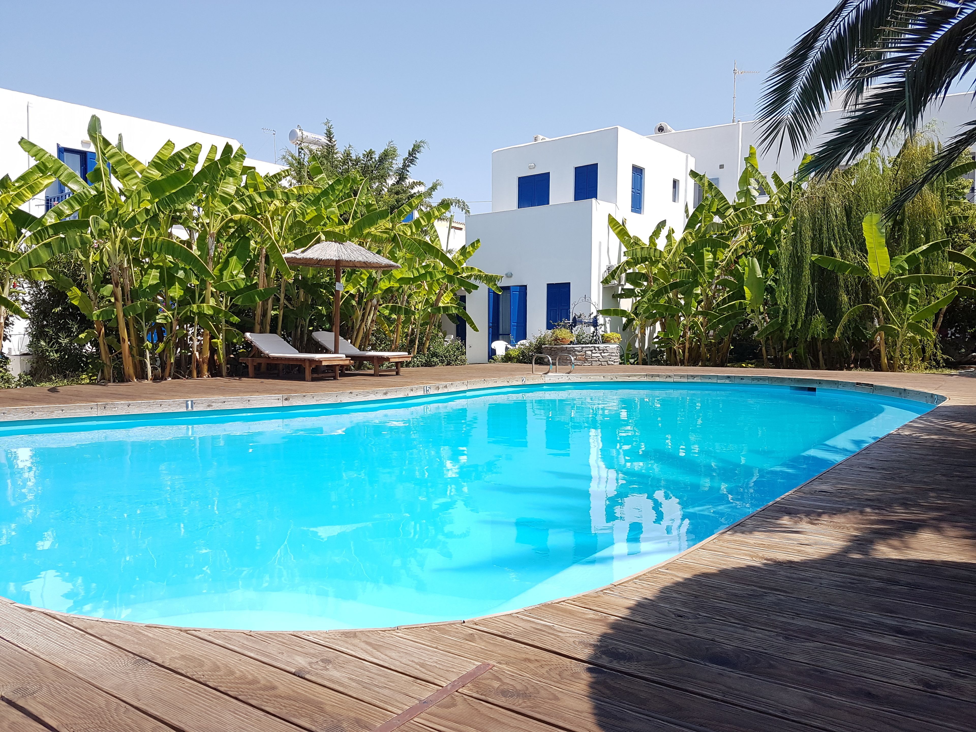 Triple Room, Pool View | View from room