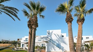 Un edificio moderno con una scala, palme e un prato ben curato.