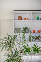 A white shelving unit with various decorative items and plants.