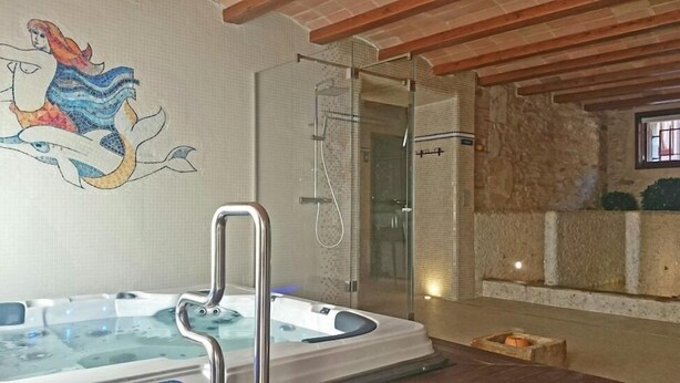 Un espace bien-être comprenant un jacuzzi, une douche en verre et une mosaïque décorative sur le mur.