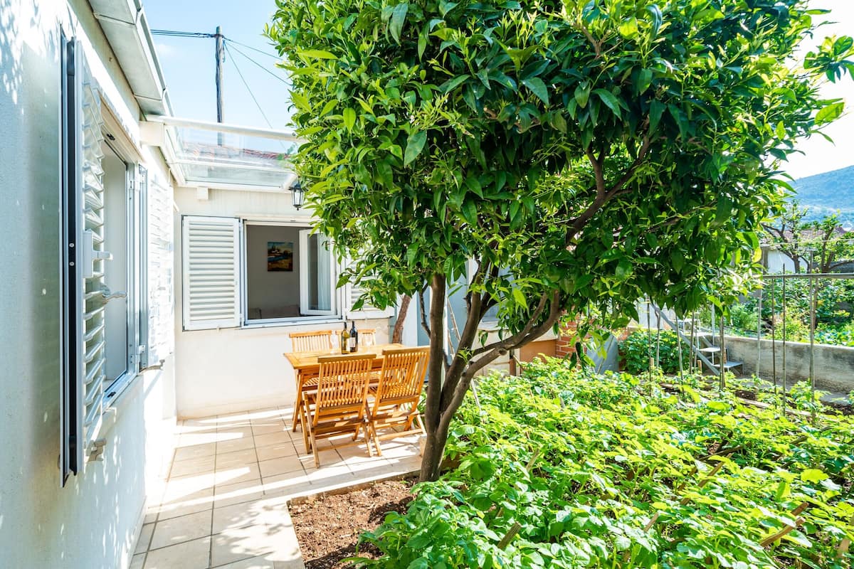 A patio with a table and chairs, surrounded by a garden with various plants.