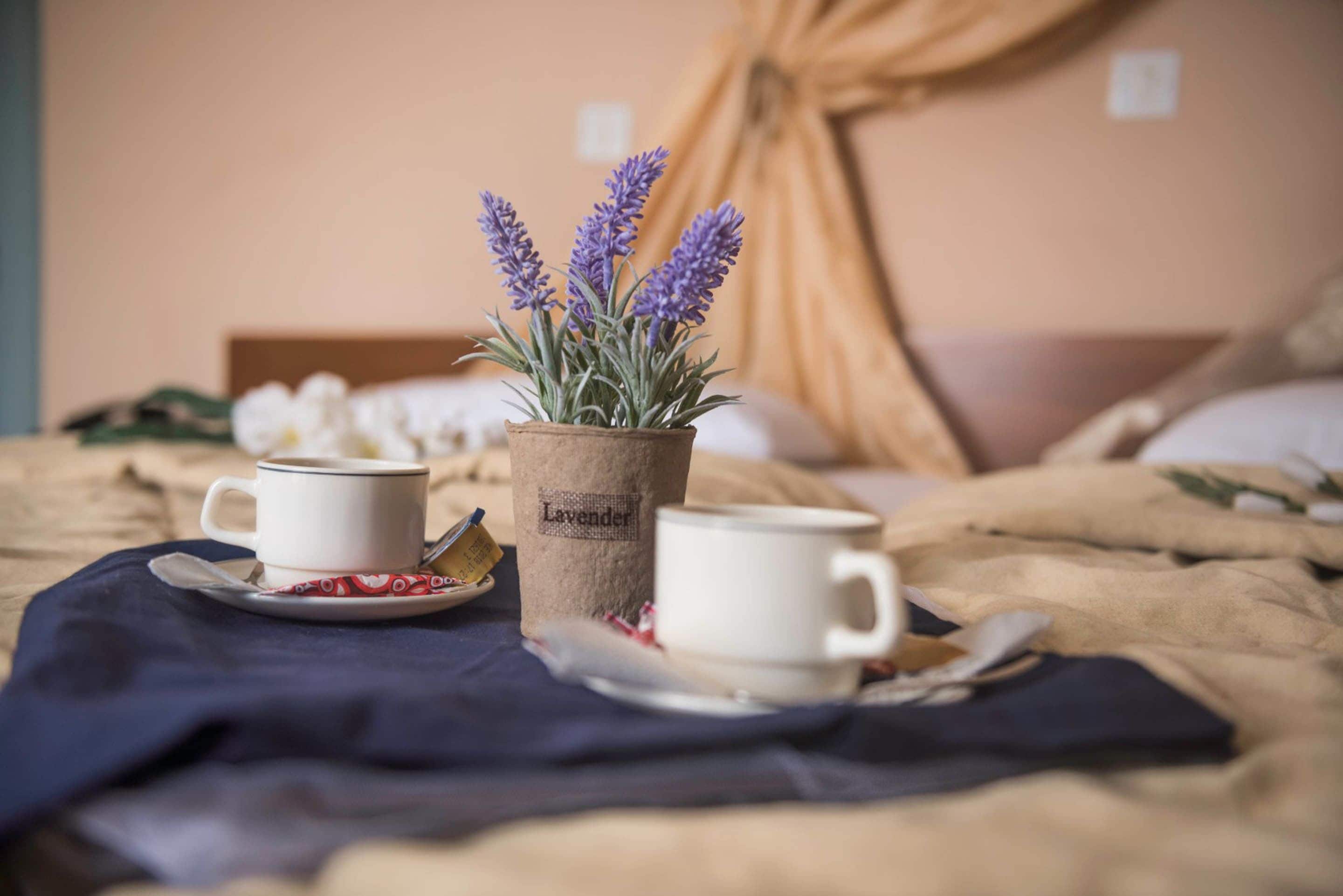 standard studio (for 2) | 1 bedroom, in-room safe, desk, free wifi