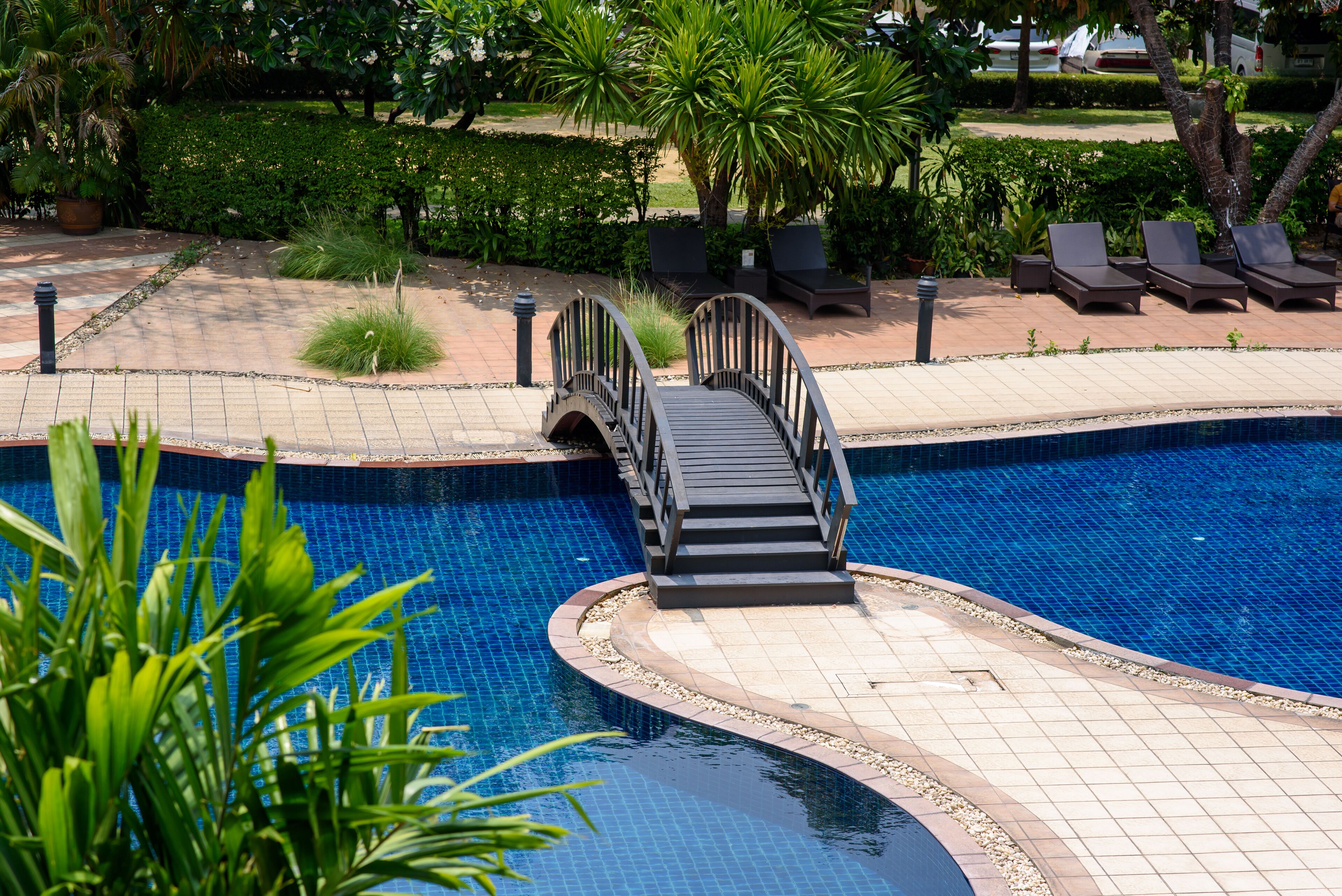 Outdoor pool, sun loungers