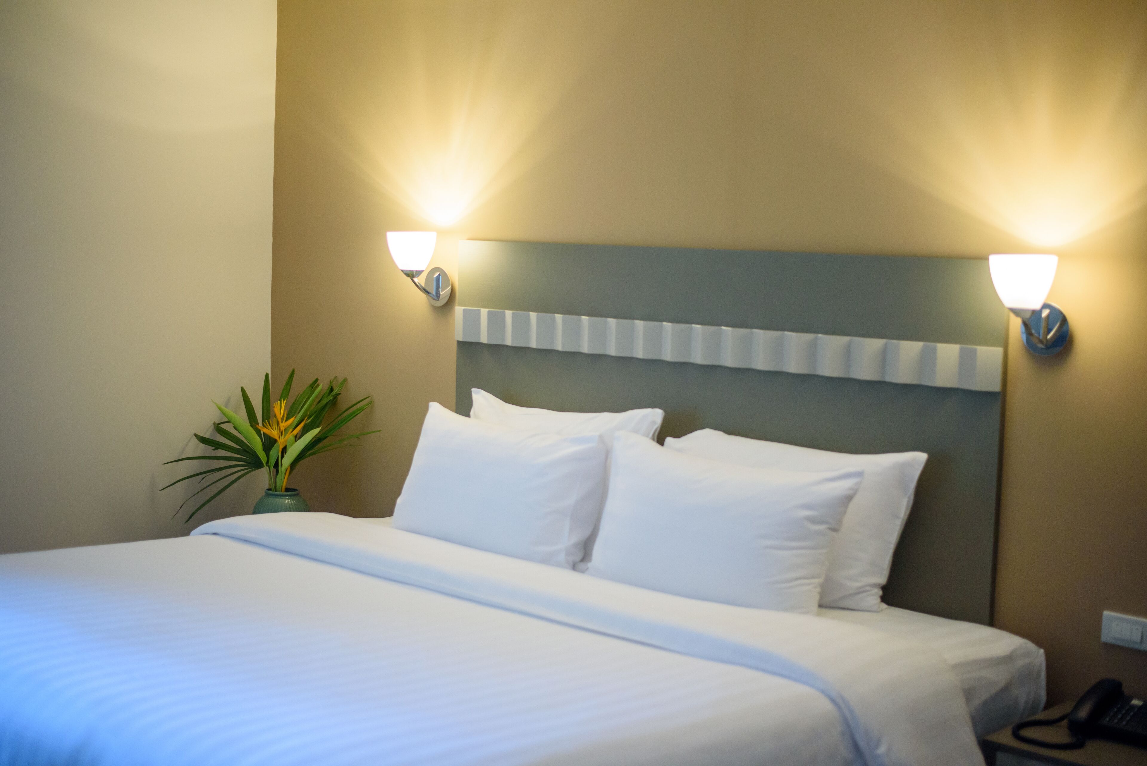 Una cama bien tendida con sábanas blancas, cabecera con panel de color claro y dos lámparas fijadas a la pared.