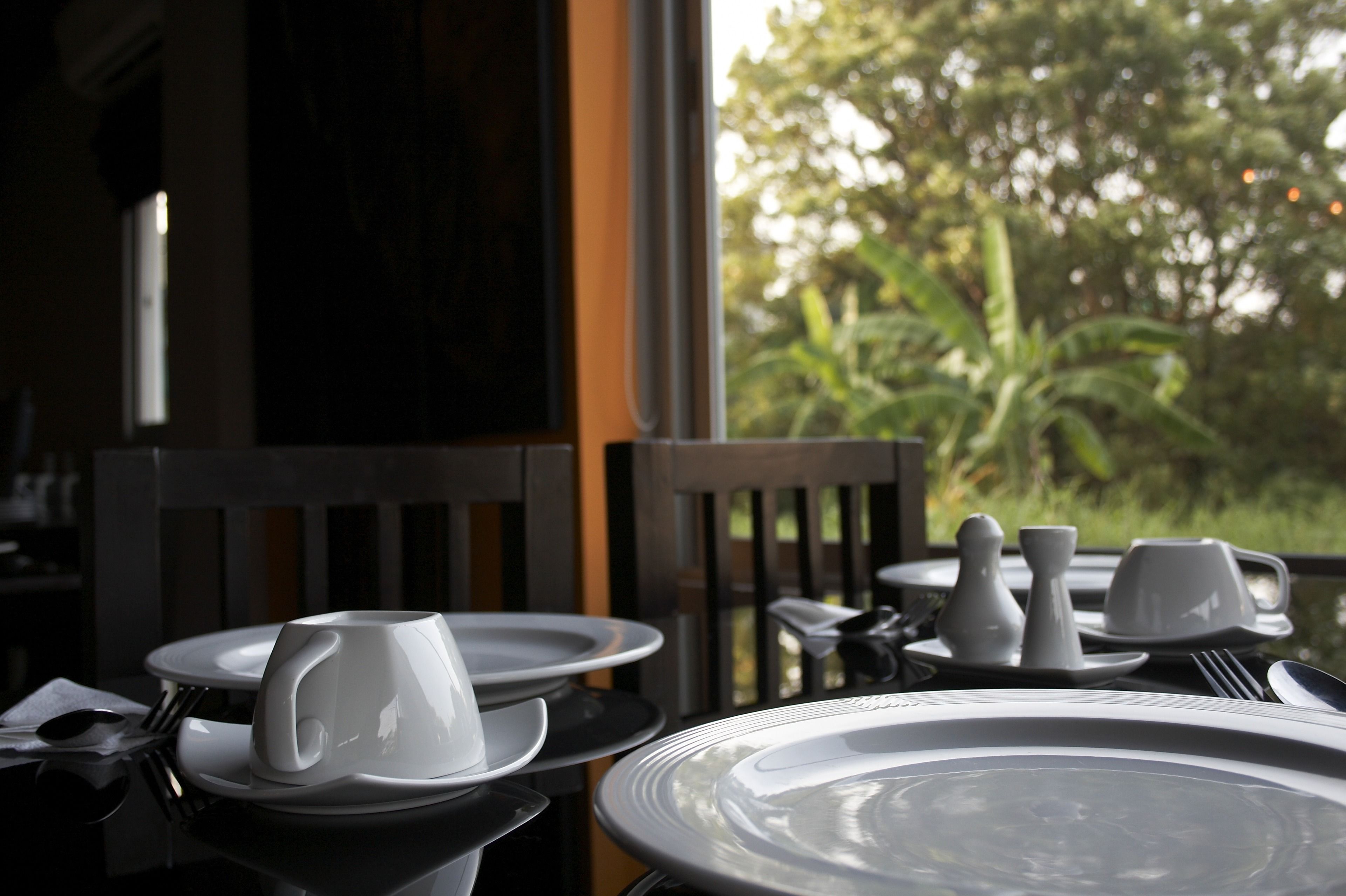 A dining table set with white plates, a white cup, and cutlery, with a view of greenery outside.