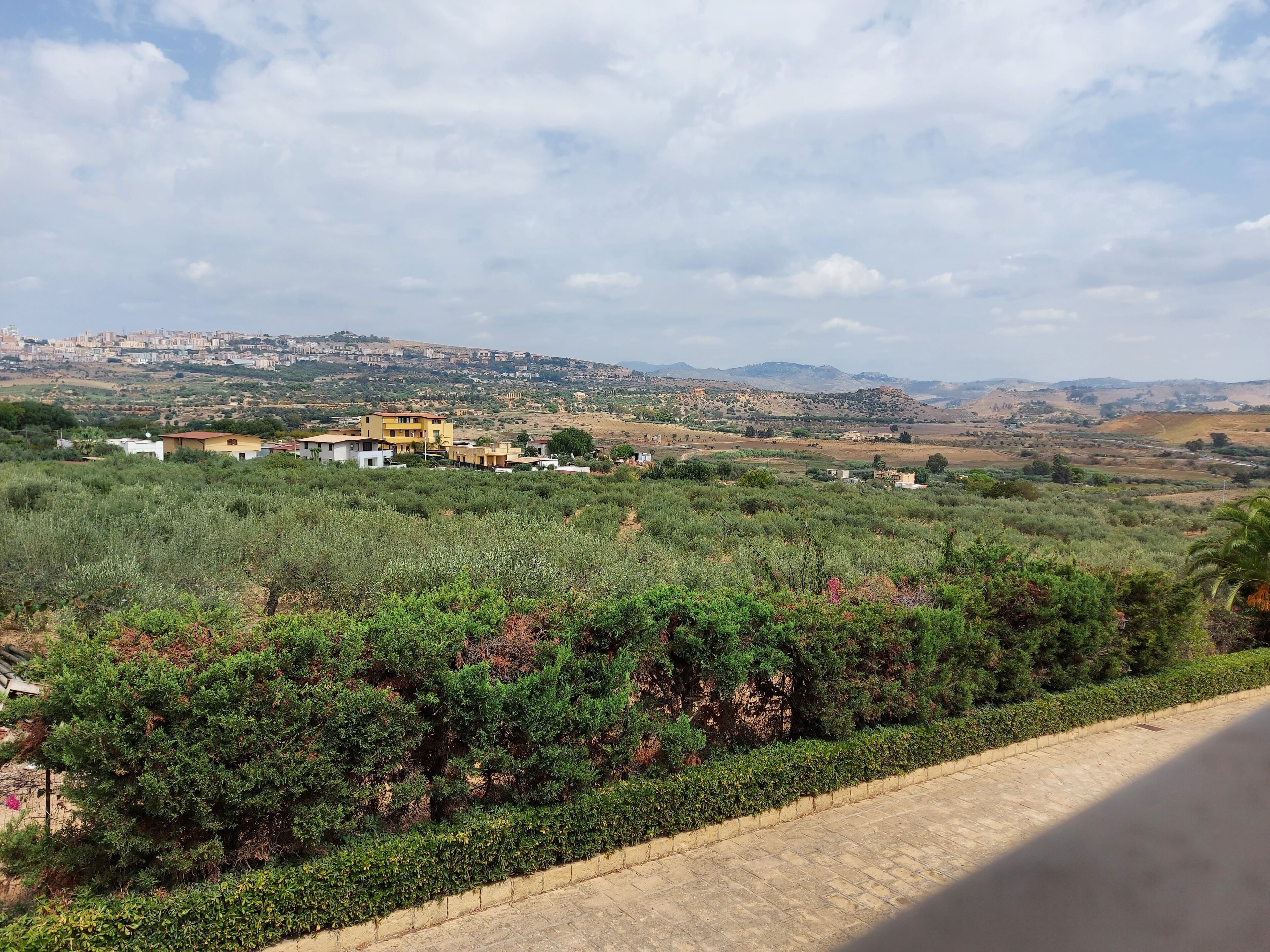 A rural landscape with a road, greenery, and a distant town with buildings.
