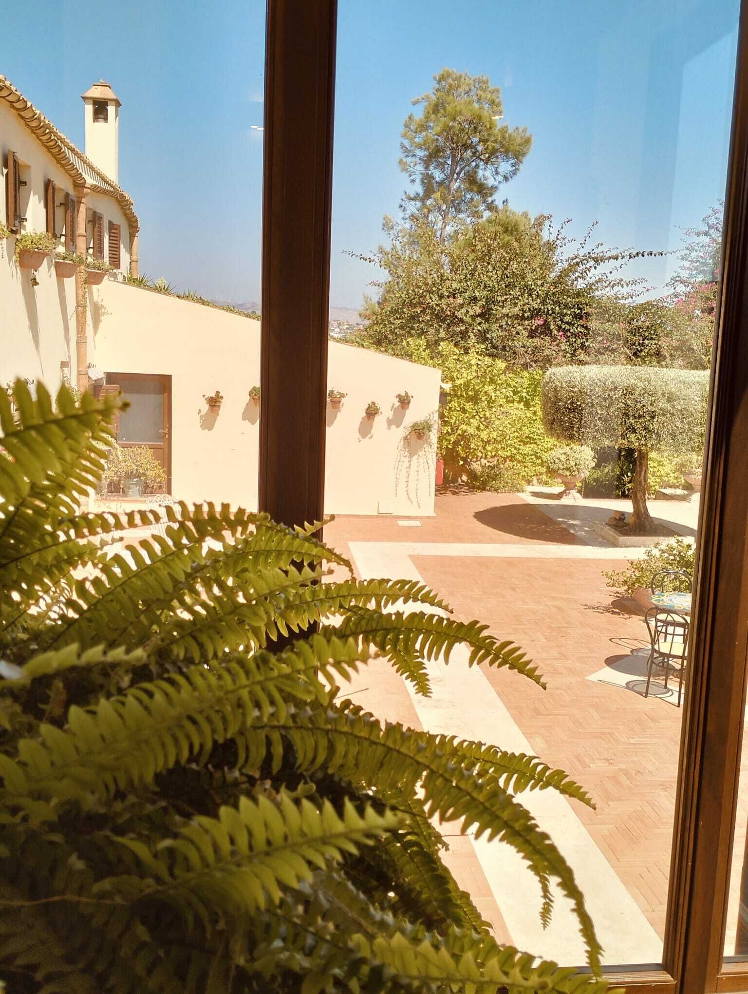 A view through a window of a courtyard with a building, potted plants, and a tree.