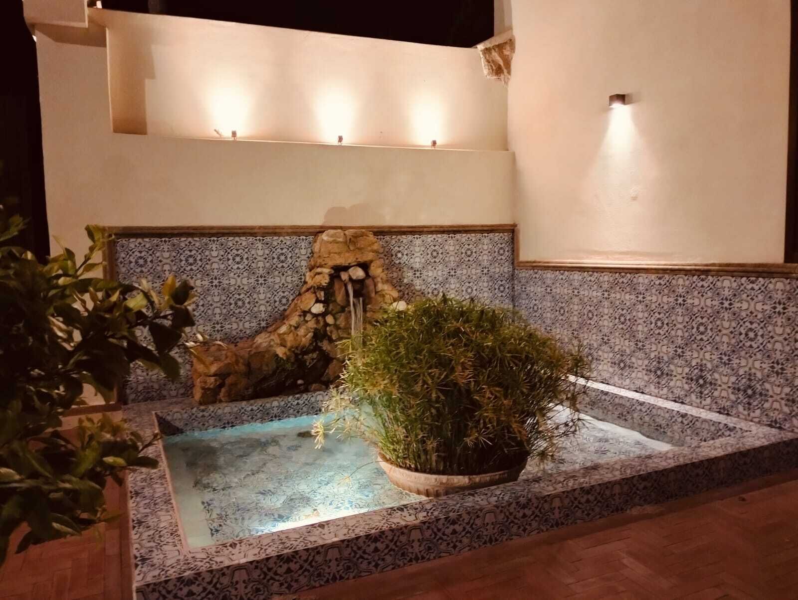 Una pequeña piscina al aire libre con una cascada artificial de piedra, rodeada de baldosas con diseños y una planta en maceta.