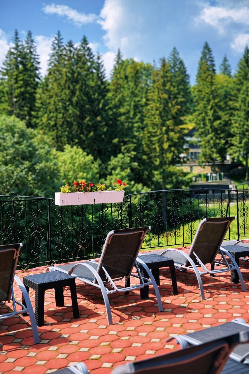 Foto - Hotel Piatra Mare
