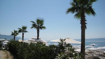 A beach with palm trees, umbrellas, and a clear sky.