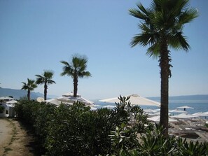 海滩