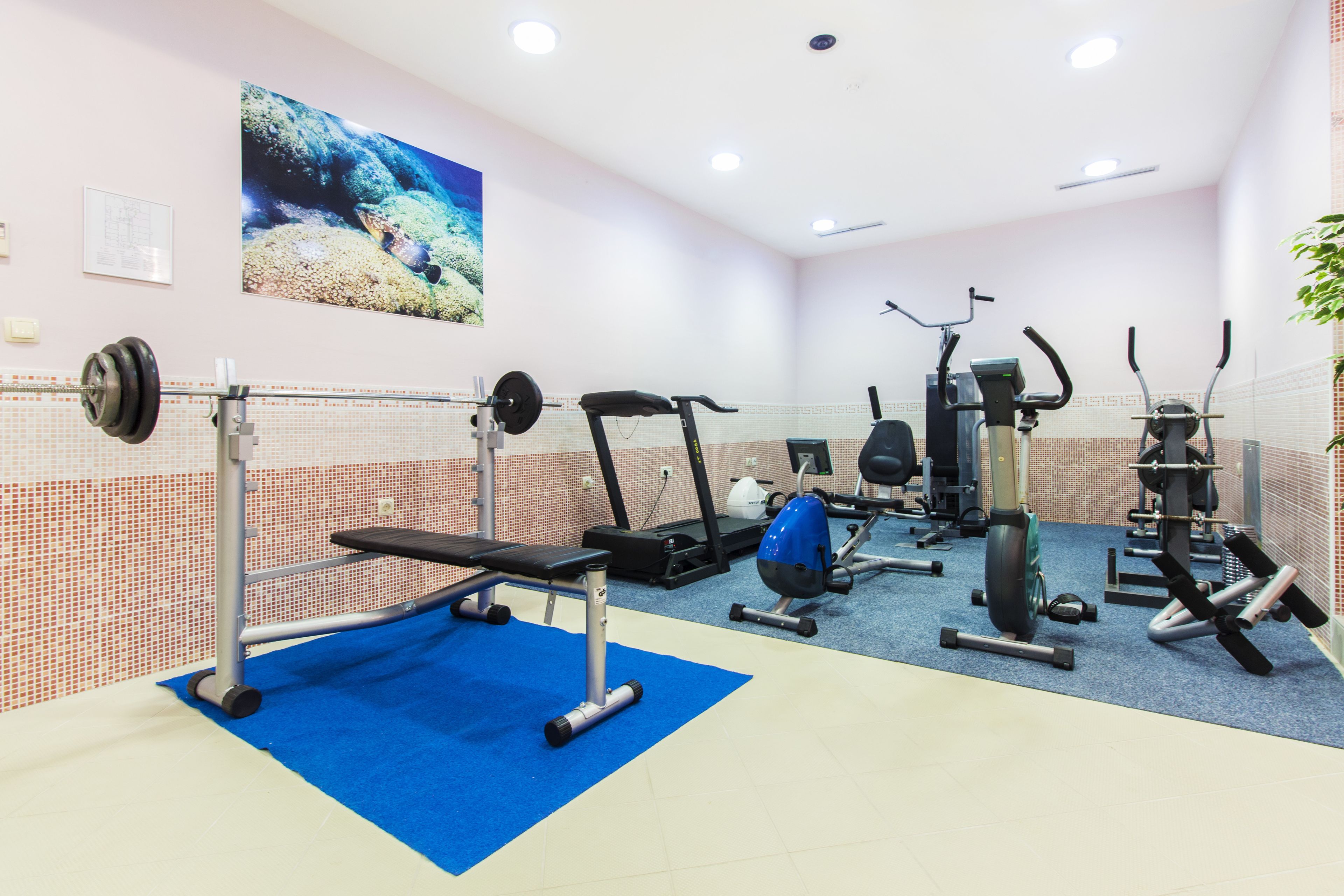 fitness facility