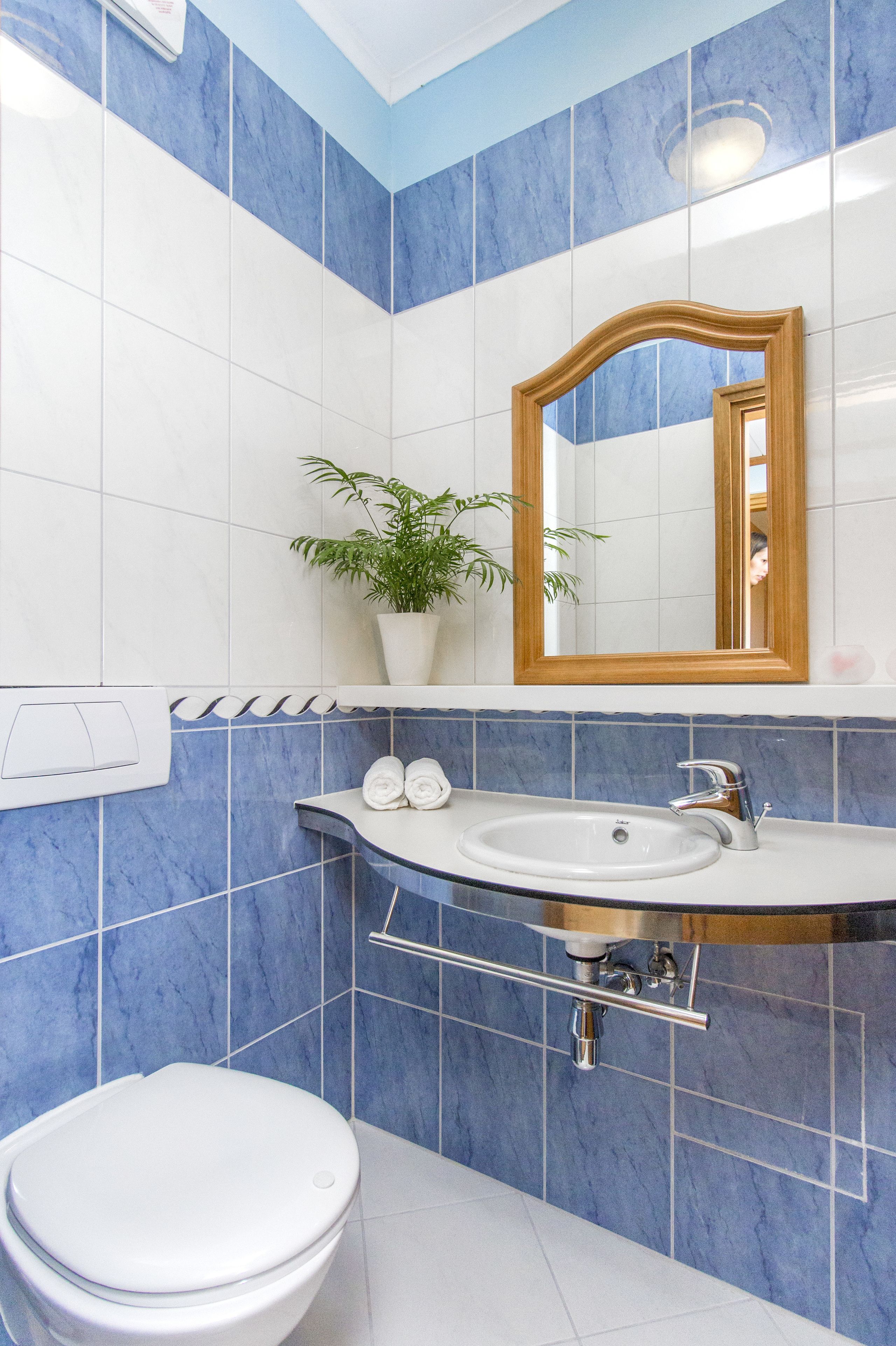 A bathroom with a white toilet, a sink with a mirror above it, and a potted plant on the wall.