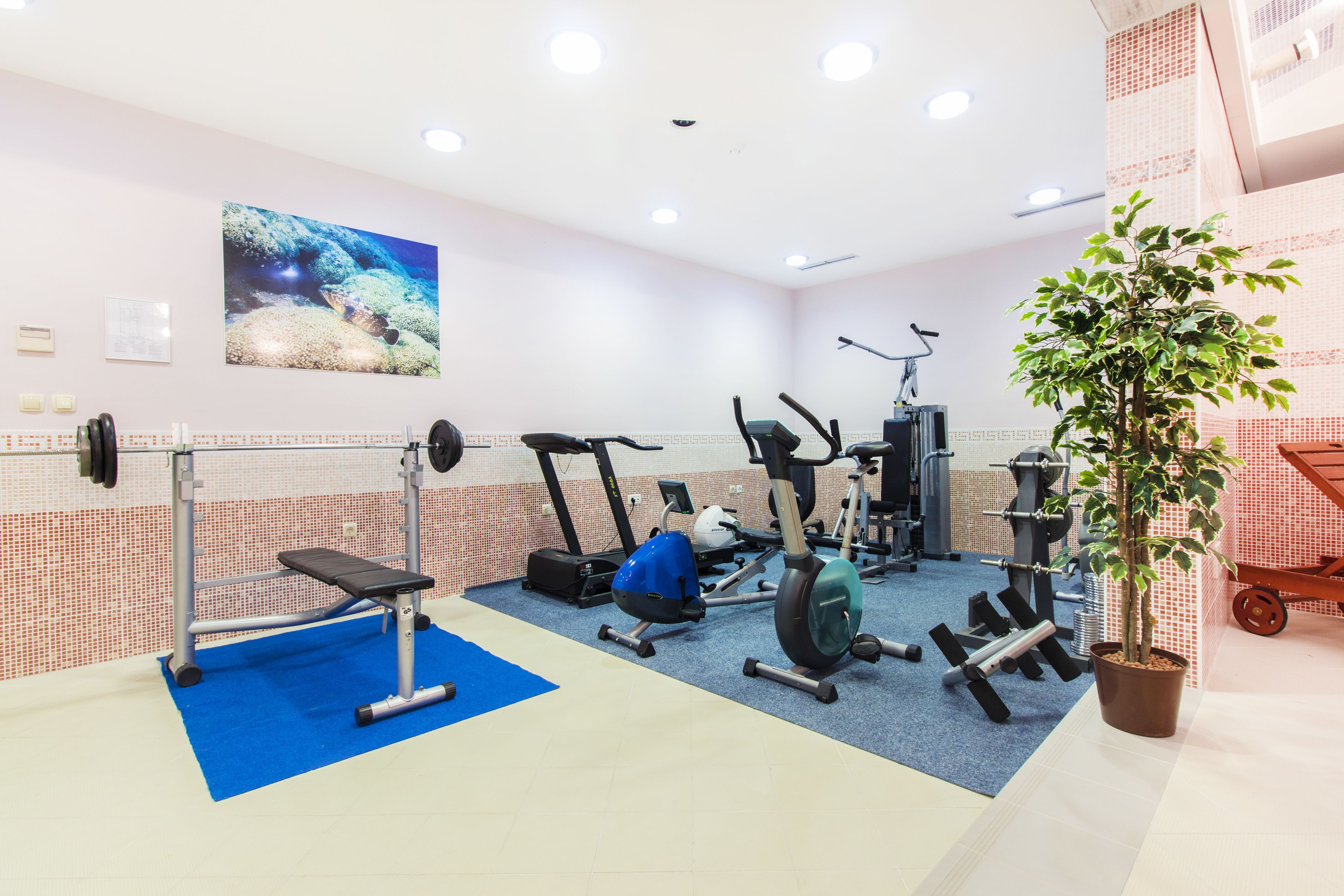 fitness facility