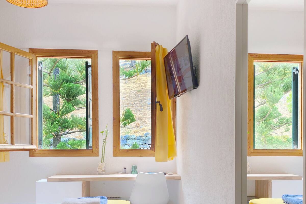 A bedroom with a bed, a desk, a chair, a TV, and windows with a view of trees and rocks.