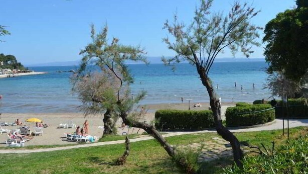 Una playa con vista despejada al mar, una zona verde con árboles y algunas personas relajándose.