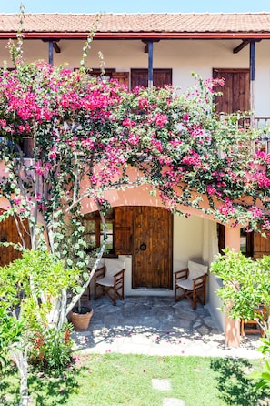 A courtyard with a wooden door, two wooden chairs, and a potted plant.