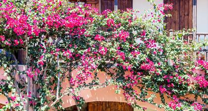 Rigas Hotel Skopelos